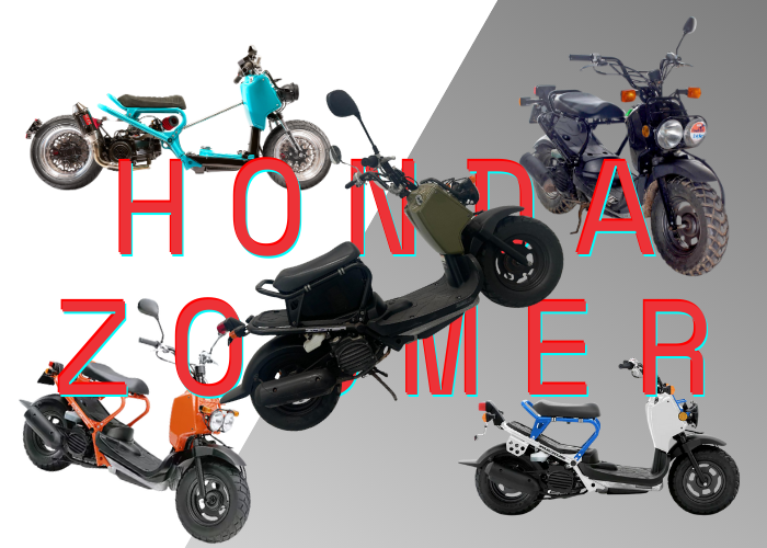 Zoomers: More Than Just a Scooter